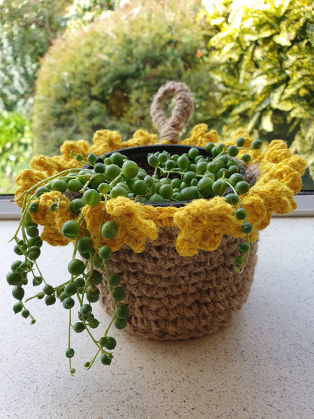 Pot of Gold